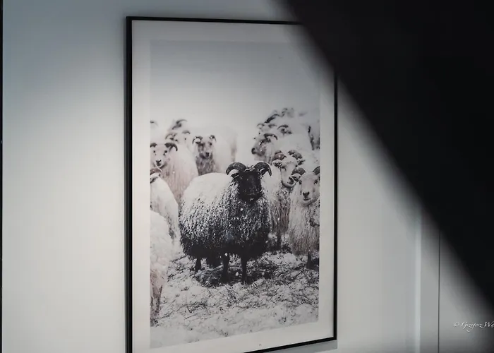 Dom Czarna Owca - Widok Na Gory, Sauna 카르파츠