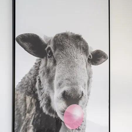 Dom Czarna Owca - Widok Na Gory, Sauna Карпач