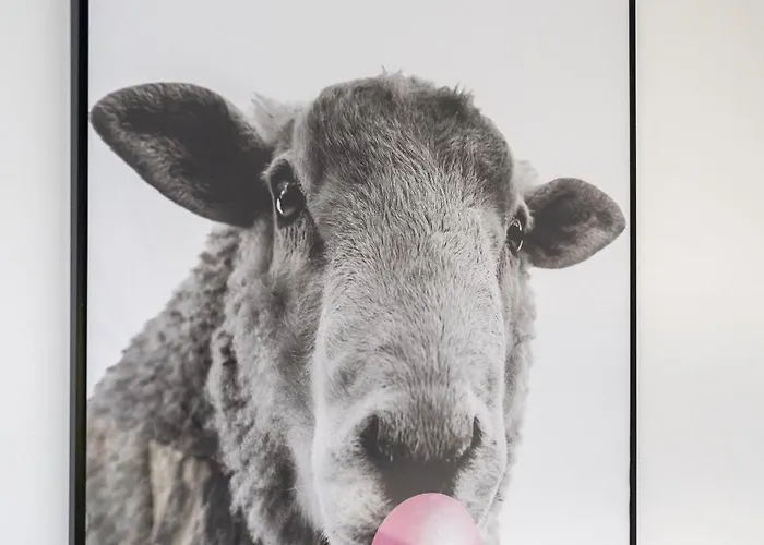 Dom Czarna Owca - Widok Na Góry, Sauna - Spaceapart Karpacz